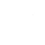 El Patron